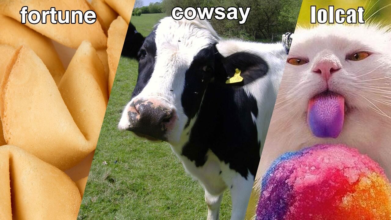 Fortune, Cowsay, and LOLcat