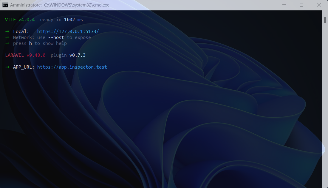 vite-server-working-inspector.png