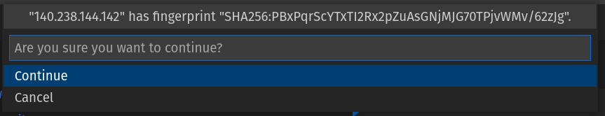 Continue for SSH new Host