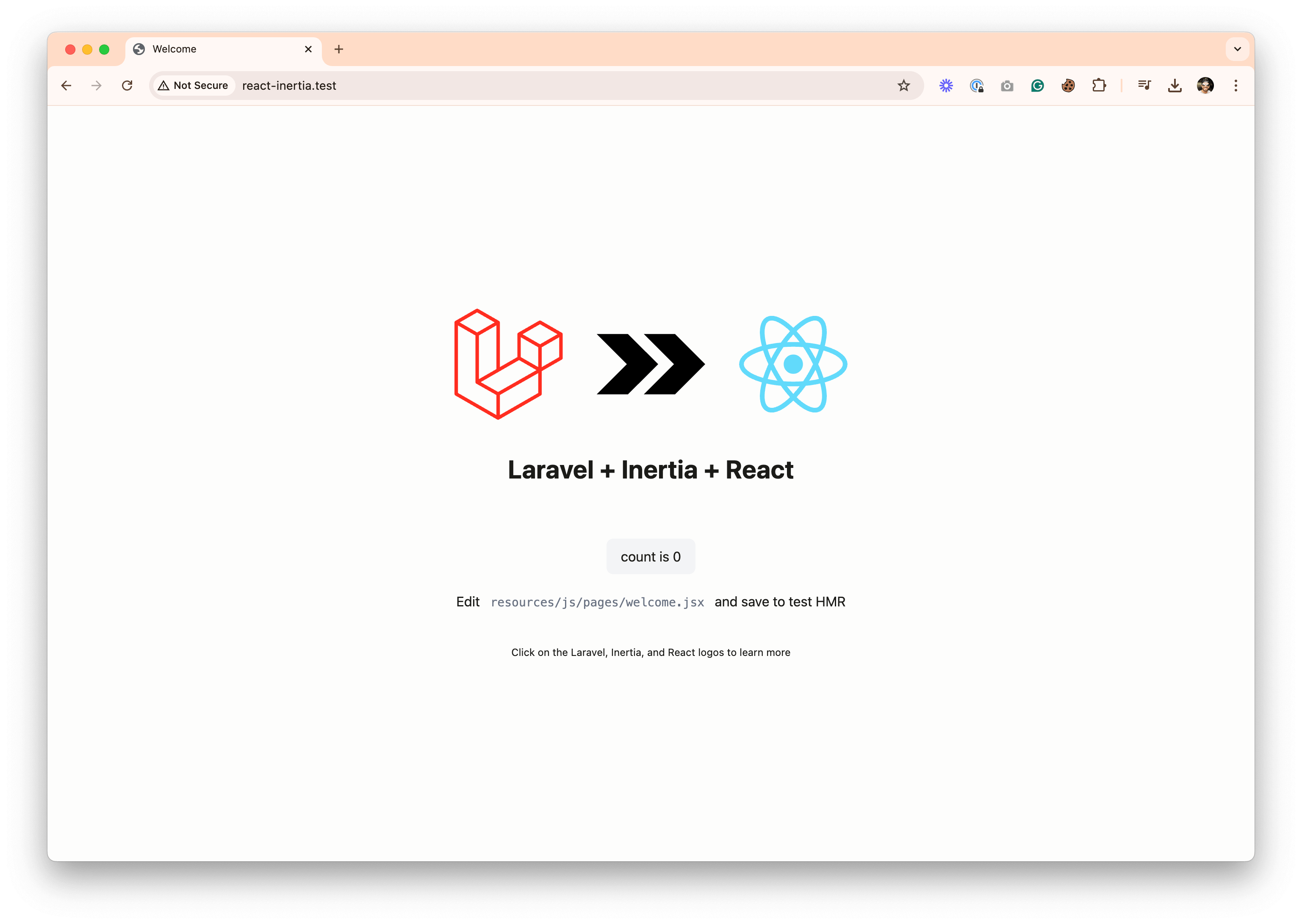 Laravel + Inertia + React Starter