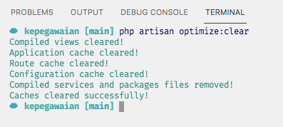 optimize.png