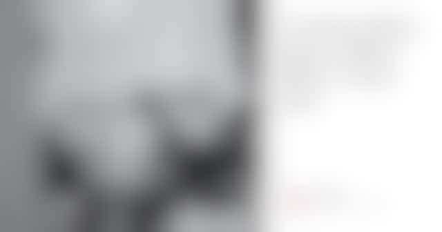 The Web's Building Blocks: Shadow DOM vs. Virtual DOM