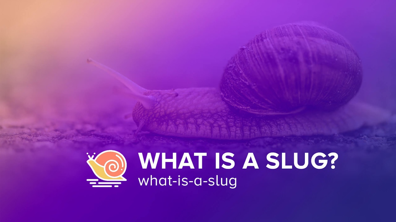 What is a Slug?