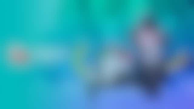 Sidecar for Laravel