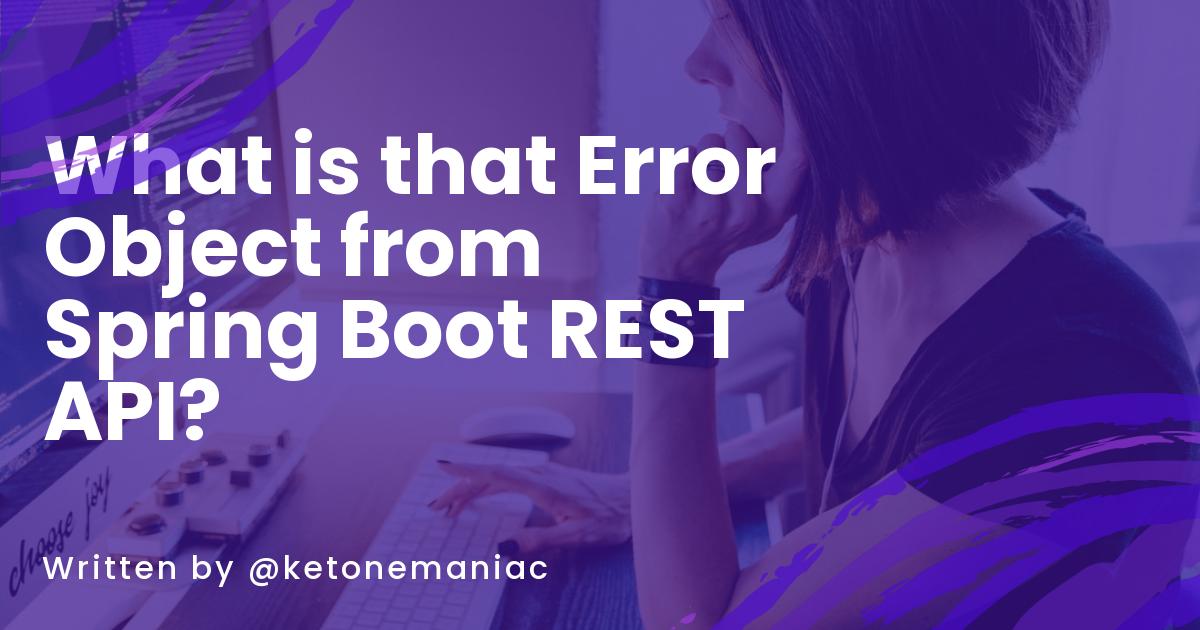 What is that Error Object from Spring Boot REST API?