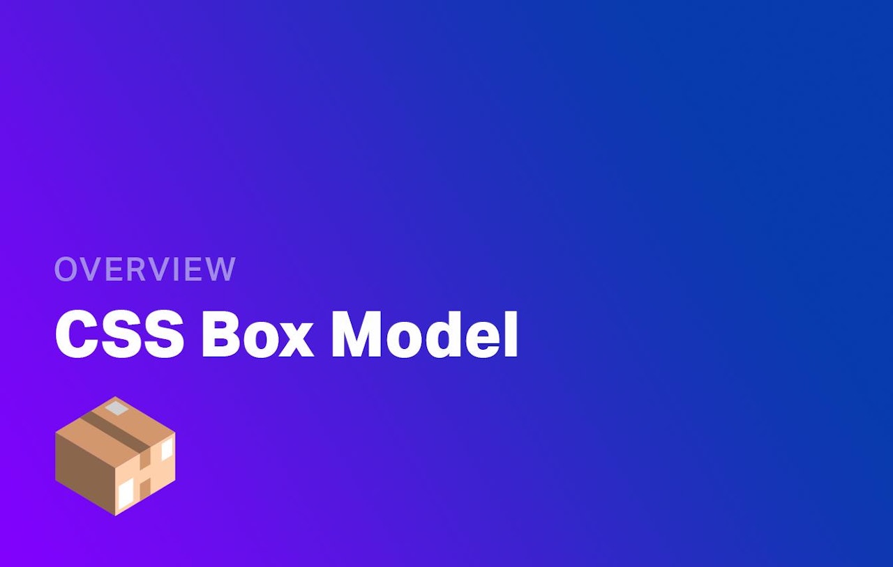 How the CSS Box Model Works