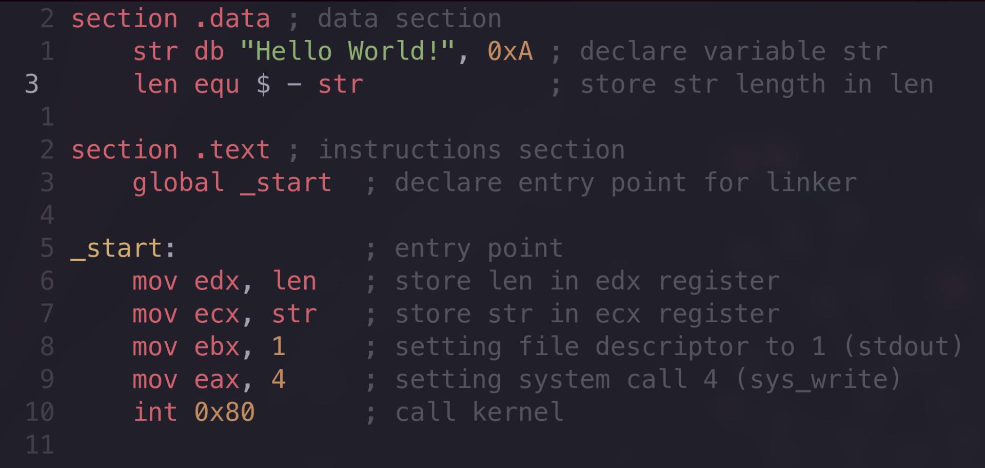 Assembly Hello World Breakdown - DevDojo