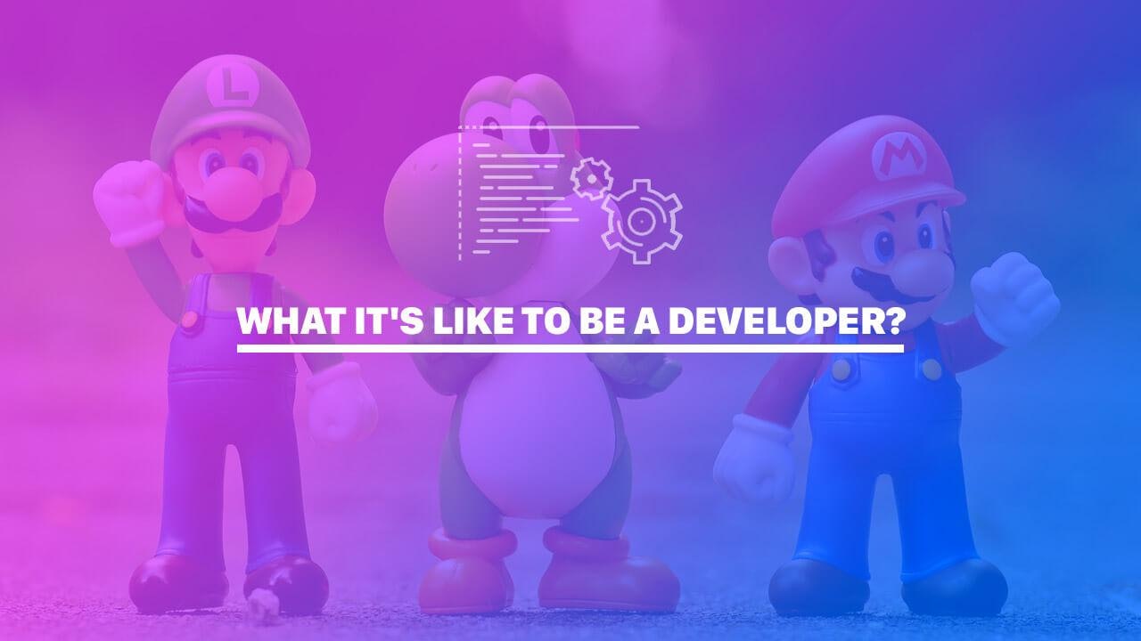 What it's like to be a Developer?