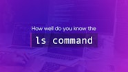 The Ls Command