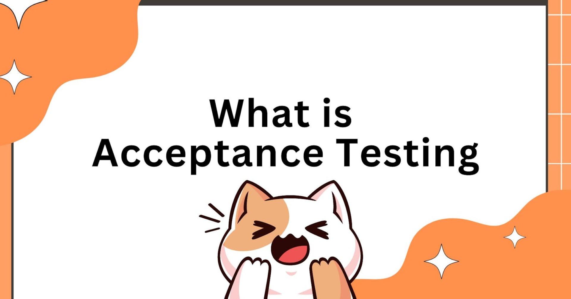 What Is Acceptance Testing